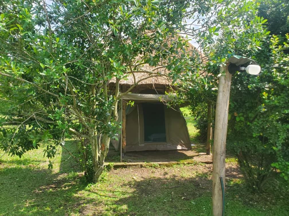 Engiri Game Lodge And Campsite Katunguru Extérieur photo